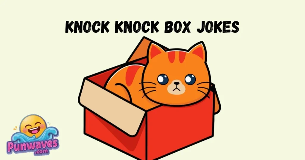 Knock Knock Box Jokes