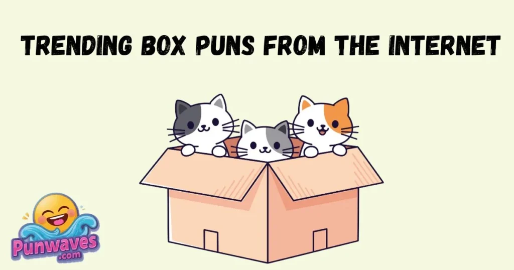 Trending Box Puns From The Internet