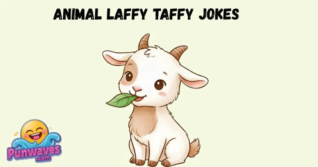 Animal Laffy Taffy Jokes