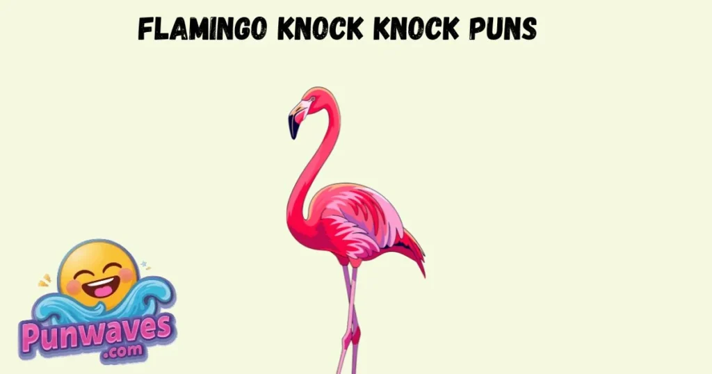 Flamingo Knock Knock Puns