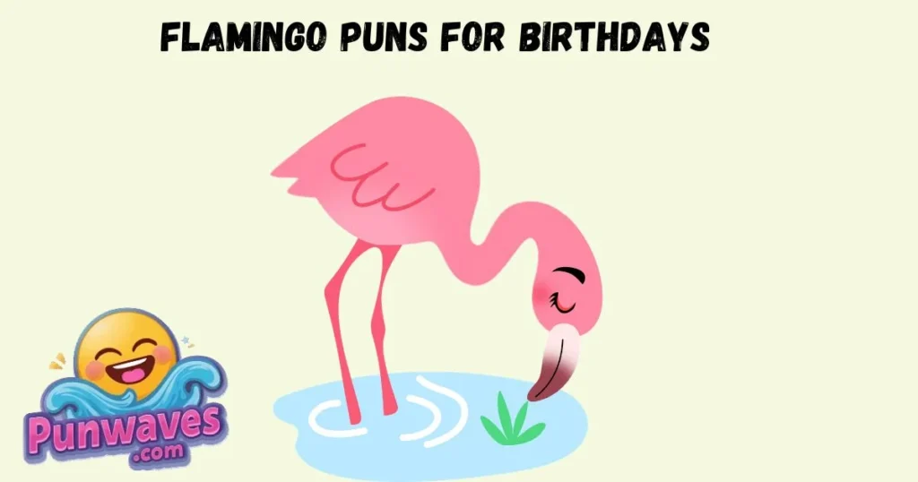 Flamingo Puns For Birthdays