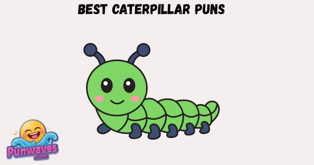 Best Caterpillar Puns