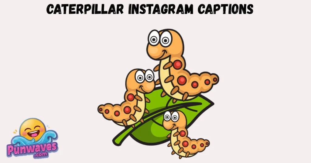 Caterpillar Instagram Captions