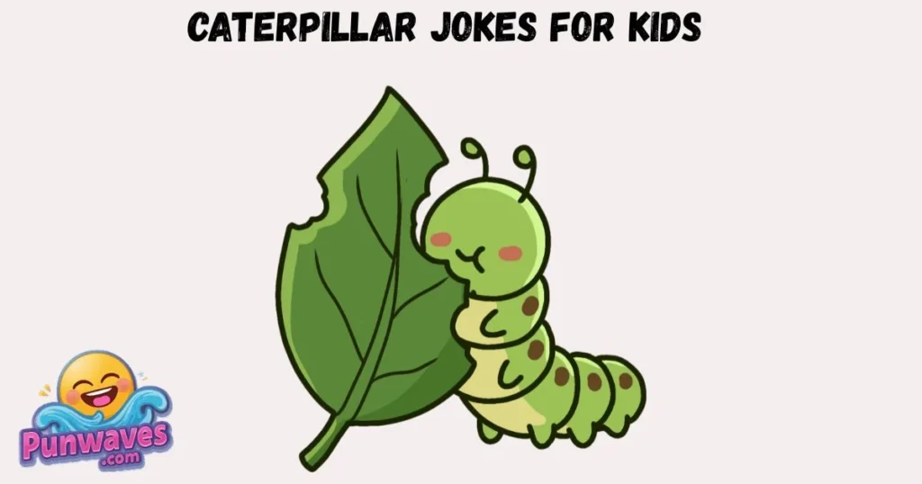 Caterpillar Jokes For Kids