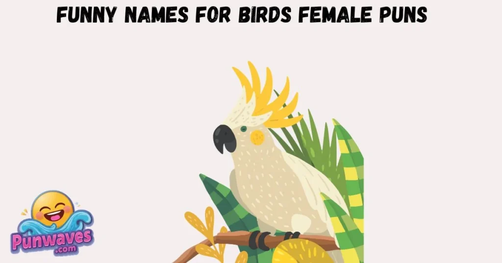 Funny Names For Birds Female Puns