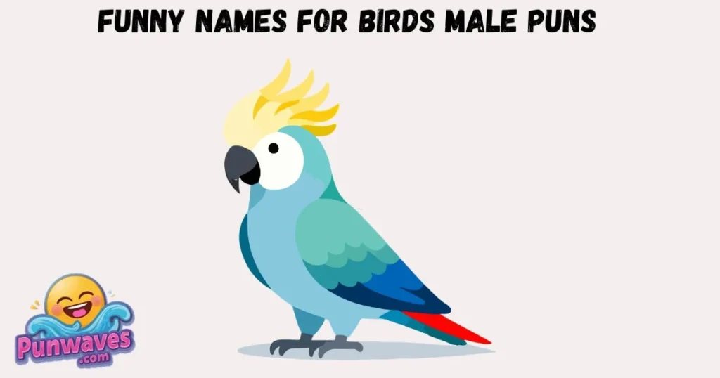 Funny Names For Birds Male Puns