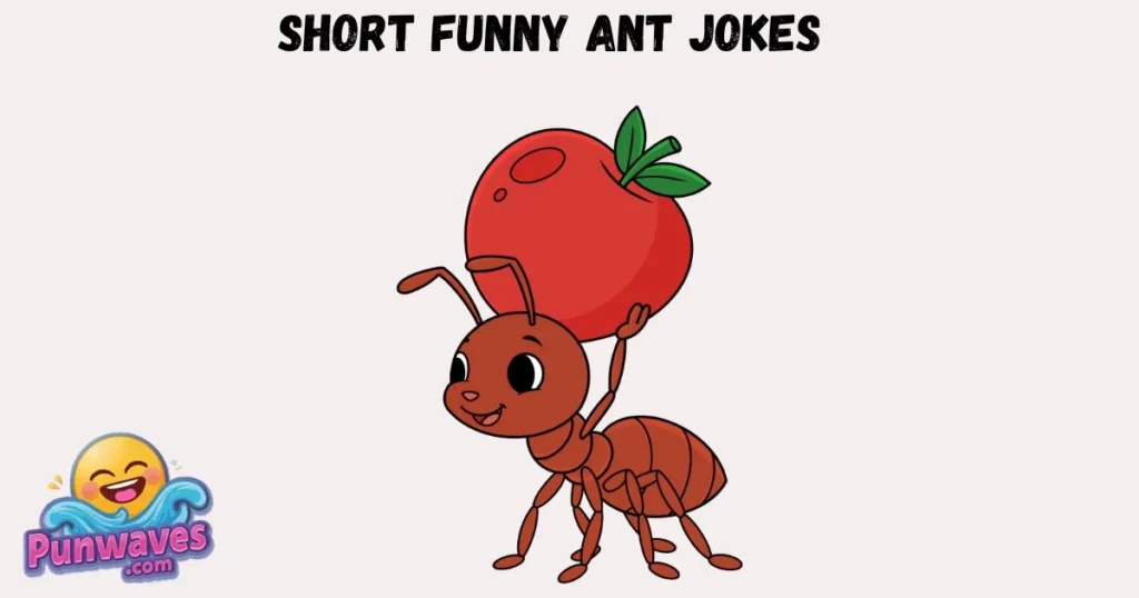 Short Funny Ant Jokes
