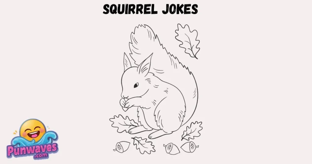 Squirrel Jokes