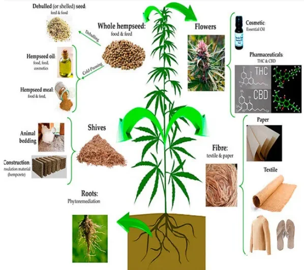 12 Best Fertilizer For Cannabis Products To Improve Growth Potency And Yield